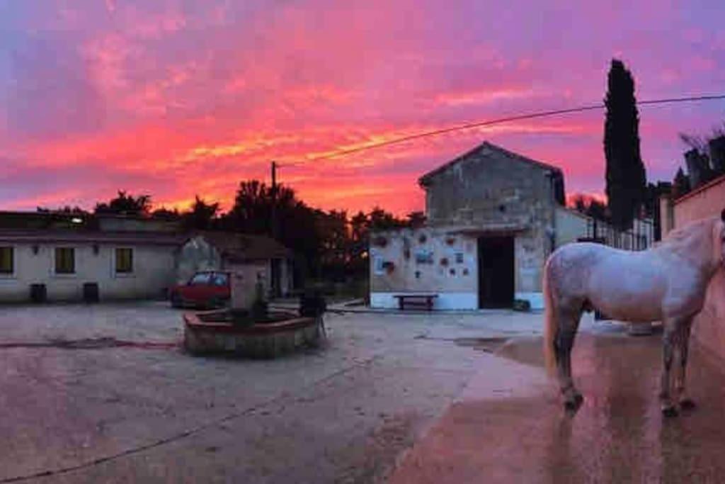 Logement Insolite Au Coeur D'Une Ecurie Arles Exteriér fotografie