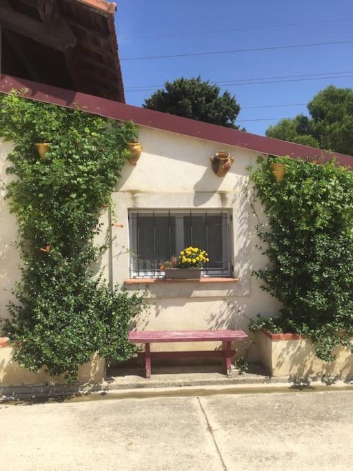Logement Insolite Au Coeur D'Une Ecurie Arles Exteriér fotografie