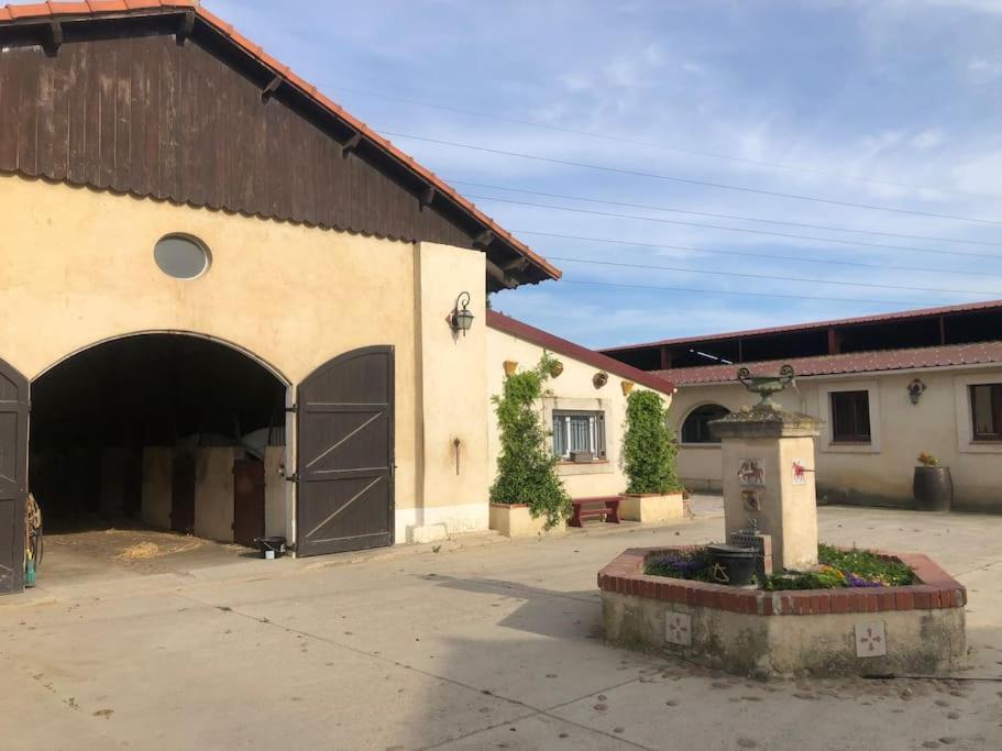 Logement Insolite Au Coeur D'Une Ecurie Arles Exteriér fotografie